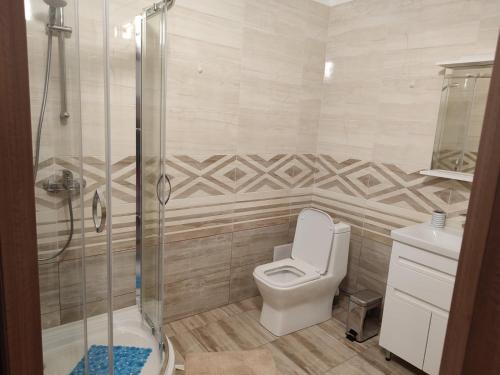 a bathroom with a toilet and a glass shower at Hotel Avatar in Oleksandriya