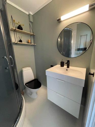 a bathroom with a sink and a mirror and a toilet at Privat apartment with beautiful view and two bedrooms in Oppdal