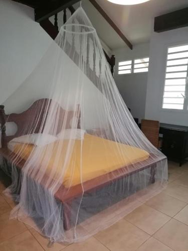 a bed covered in a net in a room at Logement F2 de 100 m carré in Rémire-Camp