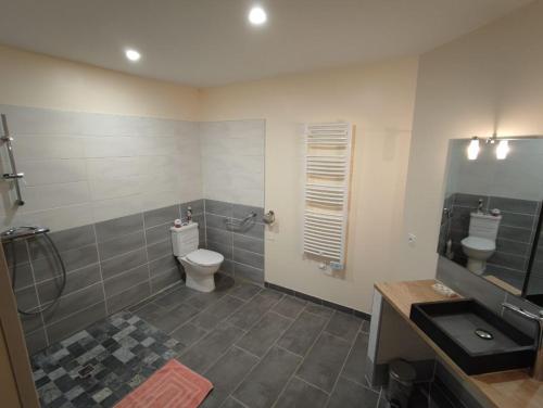 a bathroom with a toilet and a shower and a sink at appartement coubillou in Lamalou-les-Bains