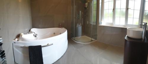 y baño con lavabo, ducha y aseo. en Little Robin Gate - Free Parking - Central - 10 min Walk to Train Station en Bournemouth