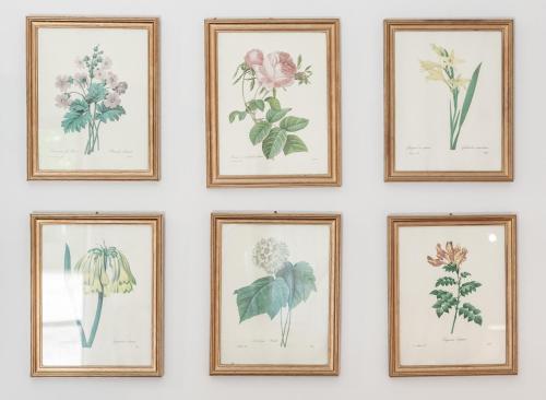 a group of framed pictures of flowers on a wall at Villa Balthazar in Búzios