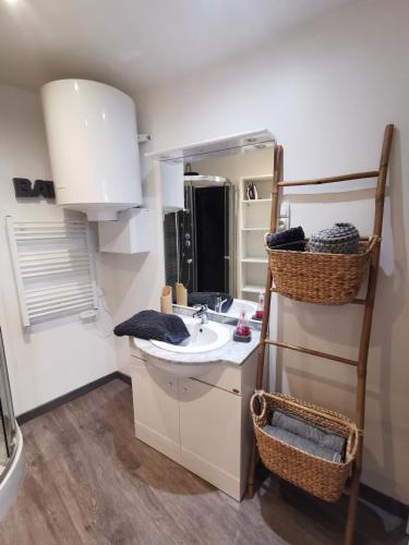 Kuchyň nebo kuchyňský kout v ubytování Studio centre ville de la Bourboule refait neuf octobre 2022