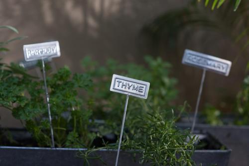 three signs in a pot of plants at Villa Balthazar in Búzios