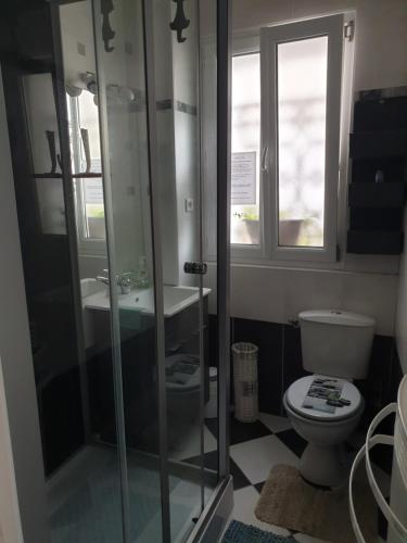 a bathroom with a shower and a toilet at La Demeure in Gabarret