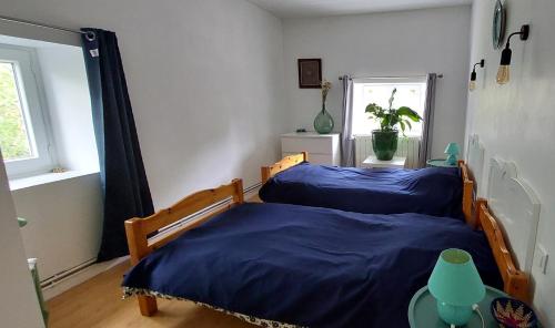 2 Einzelbetten in einem Zimmer mit Fenster in der Unterkunft La Ginelle - Appartement Savane in Airoux