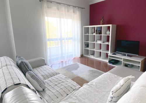 salon z kanapą i telewizorem w obiekcie Apartment Castelo Branco - Portugal w mieście Castelo Branco