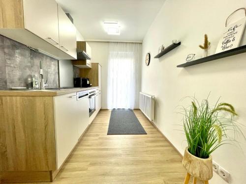 a kitchen with a counter and a plant in a room at Pension Maier in Villach