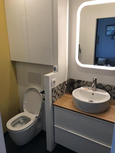 - une salle de bains avec toilettes et lavabo dans un avion dans l'établissement charmant studio vue mer, à Wimereux