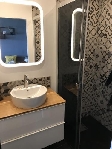 une salle de bain avec un lavabo et une douche dans l'établissement charmant studio vue mer, à Wimereux