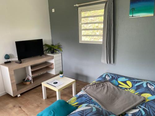 a living room with a couch and a tv at Villas smoothie SYCARO in Le François