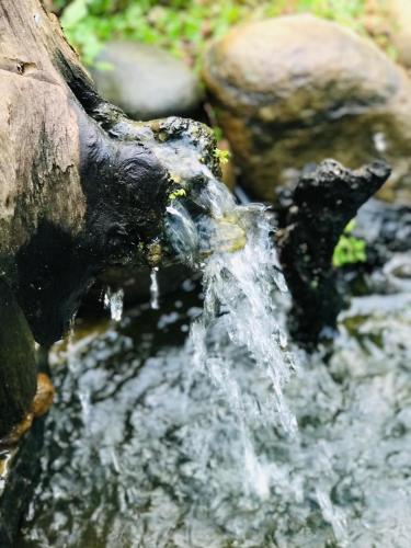 a stream of water in a fountain with rocks at Riverston Nature Villa in Rattota