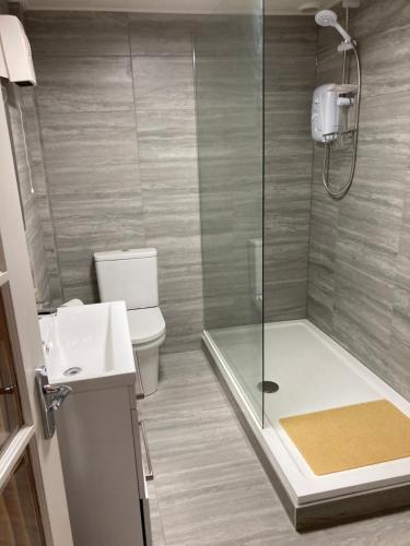 a bathroom with a shower and a toilet and a sink at Green Little Acre in Little Singleton