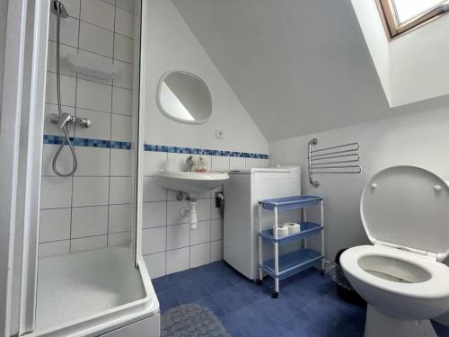 y baño con aseo, lavabo y ducha. en KAPINA sk - Holiday Homes, en Liptovská Sielnica
