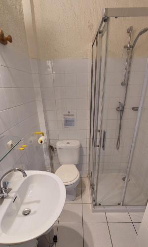une salle de bain avec une douche, des toilettes et un lavabo dans l'établissement La Ginelle - Appartement Bocage, à Airoux