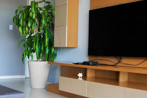 a living room with a tv and a potted plant at Departamento moderno y céntrico con Parking subterráneo incluido! in Junín