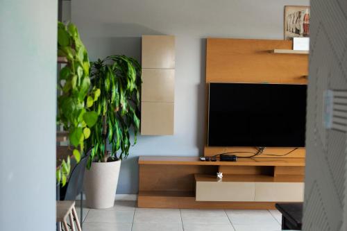 a living room with a television and a plant at Departamento céntrico con parking subterráneo in Junín