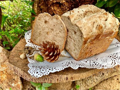 two slices of bread sitting on a plate with a pine cone at Villa Franci in Santa Teresa Gallura