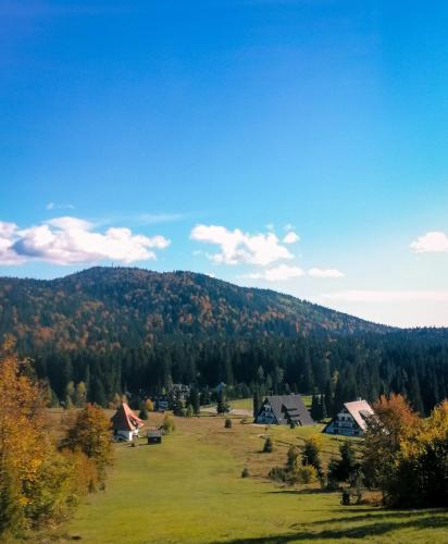 a green field with a mountain in the background at Apartmani ZELENI MEDA in Mitrovac