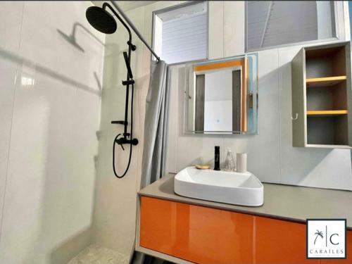 a bathroom with a sink and a shower at Maison de Vacances BELIOSEA Martinique 14 Rue d'Anjou in Saint-Pierre