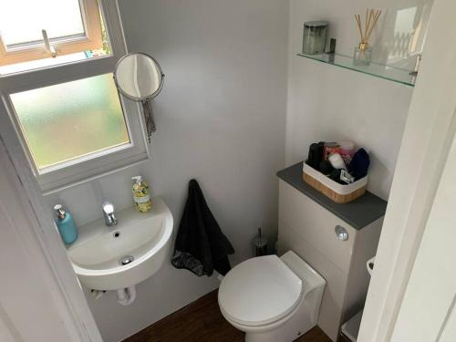 a small bathroom with a toilet and a sink at Old Ferry View in Bristol