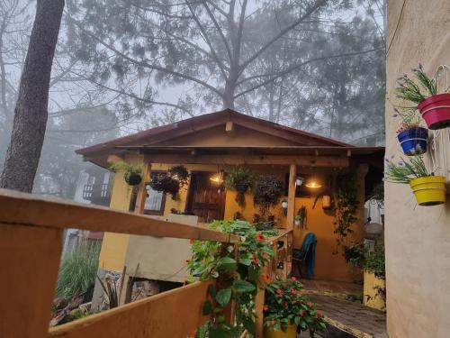 Villas De Los Pinos 2 – Photos 2