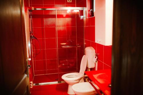a red bathroom with a toilet and a shower at Casa Mario in Dragoslavele