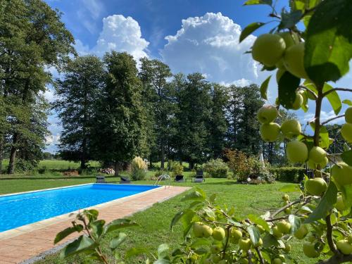 una piscina in un giardino alberato di Ferienapartments Spreewaldwiesen a Vetschau