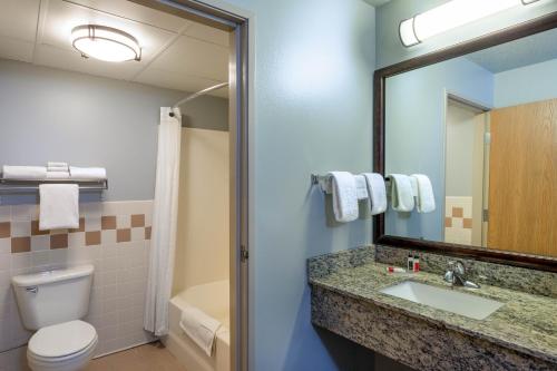 a bathroom with a sink and a toilet and a mirror at AmericInn by Wyndham Jackson in Jackson