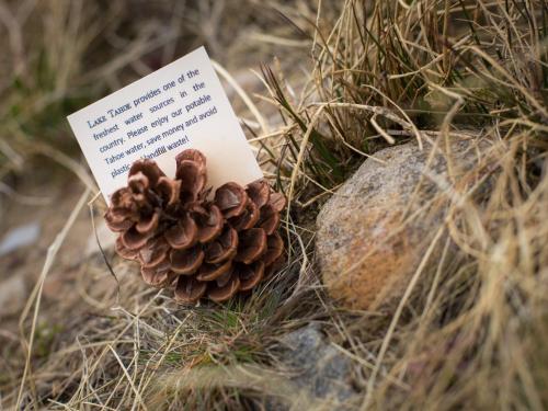 a pine cone on a rock with a note at Cedar Glen Lodge in Tahoe Vista