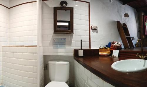 bagno con servizi igienici, lavandino e specchio di La Castañar - La Vallicuerra Casas Rurales a Mieres