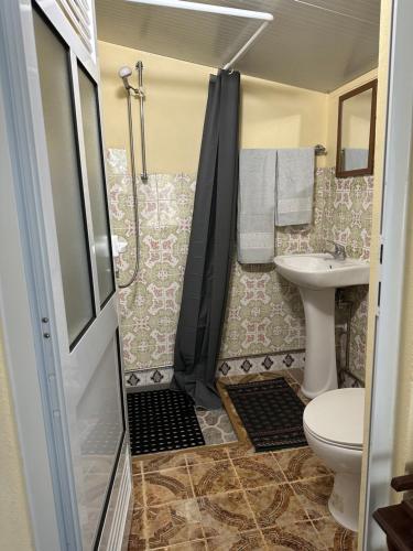 a small bathroom with a toilet and a sink at Casa Violeta in Águeda