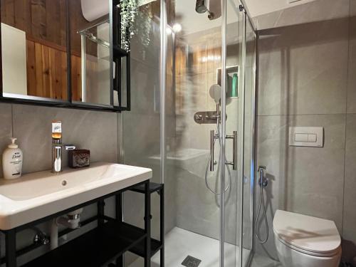 a bathroom with a shower and a sink and a toilet at Tuckett Lodge - A large flat for families and groups of friends in Madonna di Campiglio