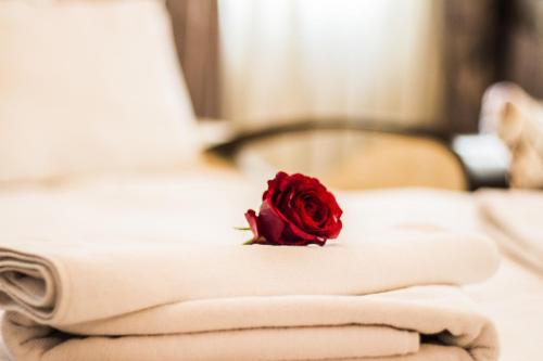 a red rose sitting on top of some towels at Feyza Apart in Istanbul