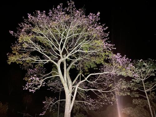 Estância Togguenburg – Photos 2