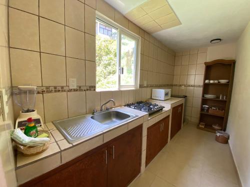 Η κουζίνα ή μικρή κουζίνα στο Casa del Bosque 1