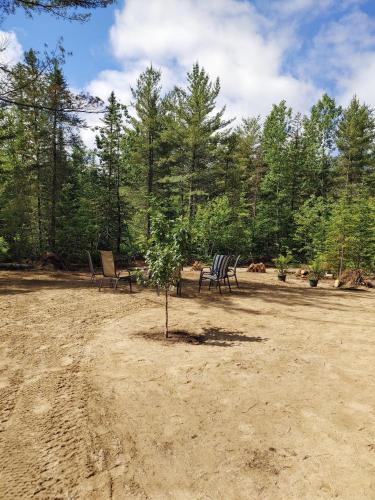 two chairs and a tree in the middle of a field at Les Chalets Double K # 1 in Saint-Alexis-des-Monts