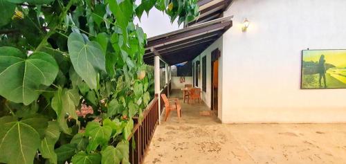 a porch of a white house with a plant at Sundance Surf Coconut Point in Weligama