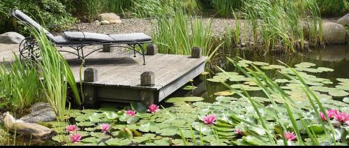 a table and chairs sitting on a dock in a pond at Pension Ederstrand in Frankenberg