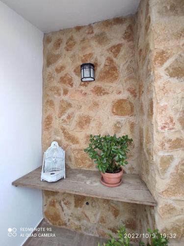 Fotografie z fotogalerie ubytování ENTRETORRES Apartamento Turístico v destinaci Olivenza