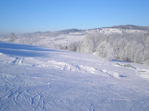 a snow covered slope with trees and a body of water at Apartment Ulrich in Jablonec nad Jizerou