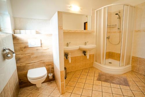 W łazience znajduje się toaleta, umywalka i prysznic. w obiekcie Chata Mária & Apartmány Mária w mieście Prosiek