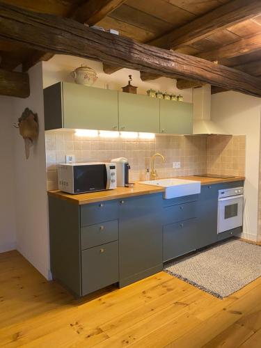 La cuisine est équipée de placards bleus, d'un évier et d'un four micro-ondes. dans l'établissement Paradis Fleuri et son bain nordique, à Chaussy