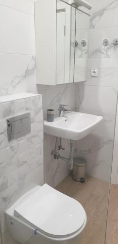 uma casa de banho branca com um lavatório e um WC em DurmitorBW em Sajmište