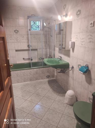 een badkamer met een groene wastafel en een douche bij Villa Radunia in Borzestowska Huta