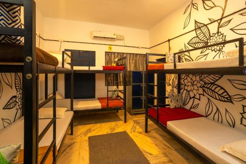 a room with several bunk beds in a dorm at Zostel Alleppey in Alleppey