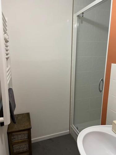 a bathroom with a shower and a white sink at Moulins centre : Appartement N*6 in Moulins