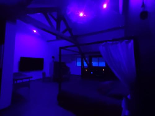 une chambre sombre avec des lumières violettes et un canapé dans l'établissement Love Room à Montargis, à Montargis