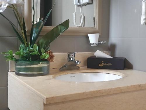 a bathroom sink with a potted plant on it at Serendib Suites and Conference Center in Blantyre