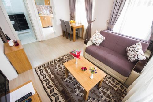 伊斯坦堡的住宿－菲扎公寓酒店，客厅配有沙发和桌子